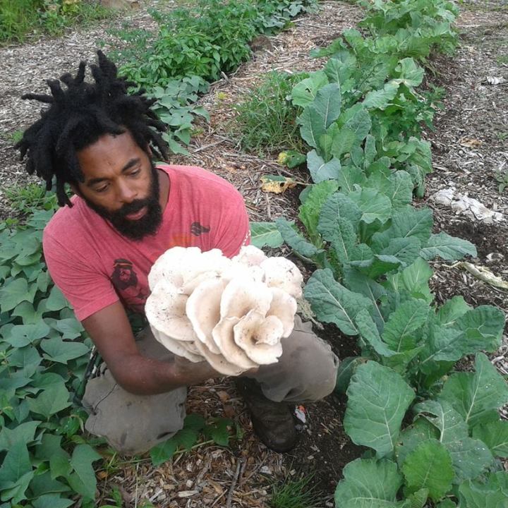 Good Shepherd Agro Ecology Center
