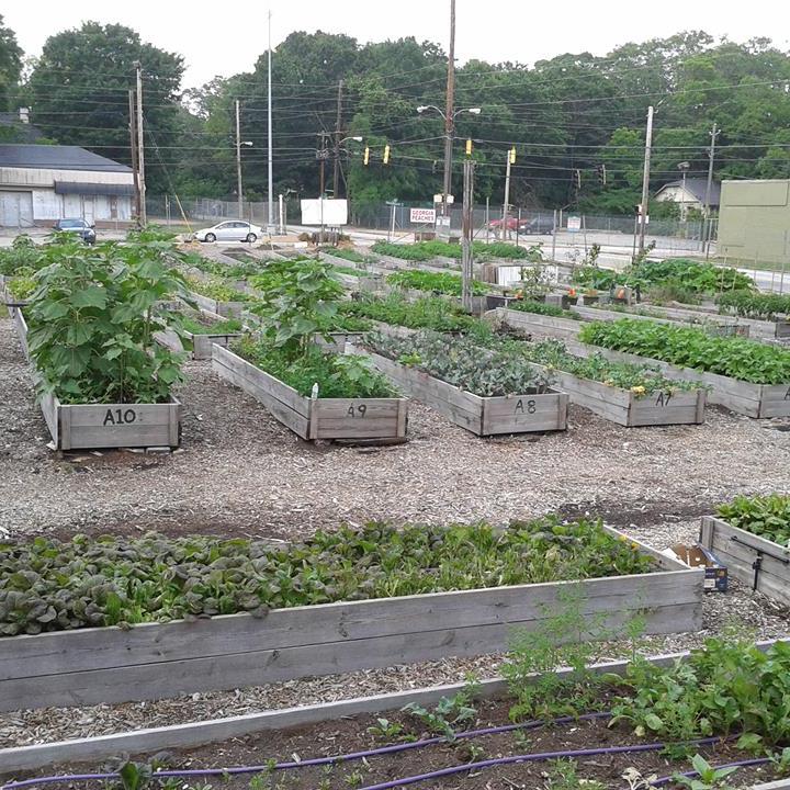 Good Shepherd Agro Ecology Center