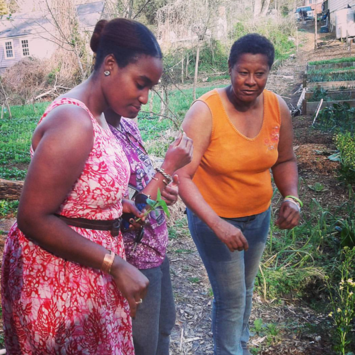 Good Shepherd Agro Ecology Center